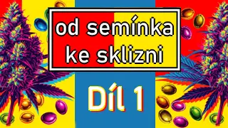 Startujeme pěstební test: Díl 1